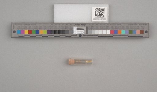 NSF ADBC EPICC TCN