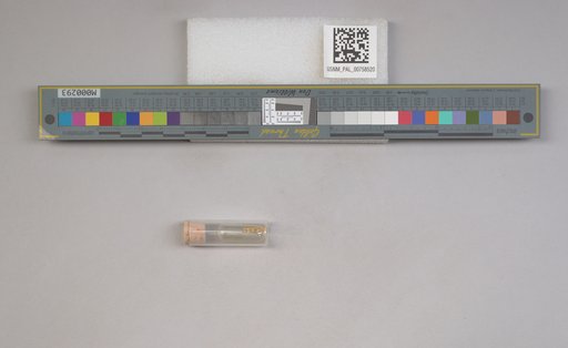 NSF ADBC EPICC TCN
