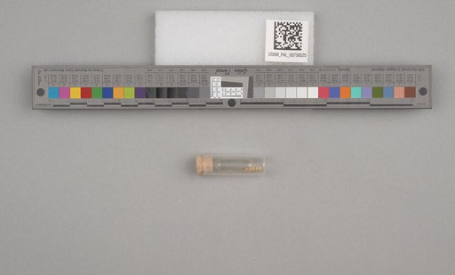 NSF ADBC EPICC TCN