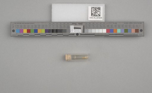 NSF ADBC EPICC TCN