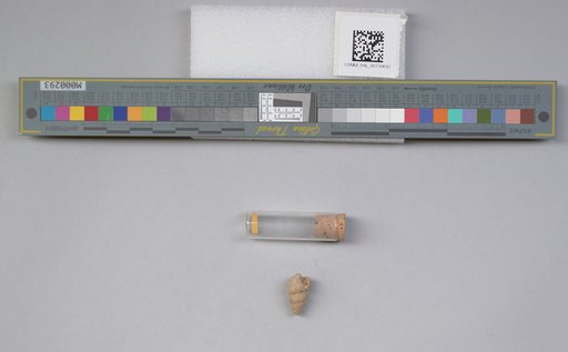 NSF ADBC EPICC TCN