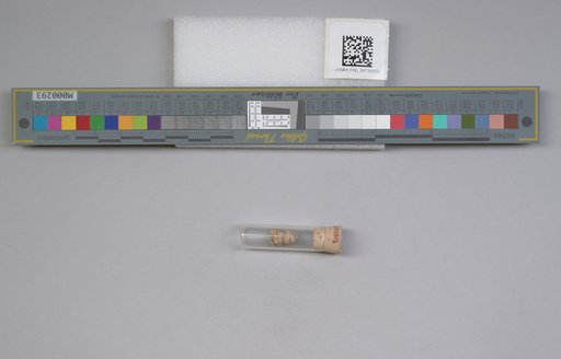 NSF ADBC EPICC TCN