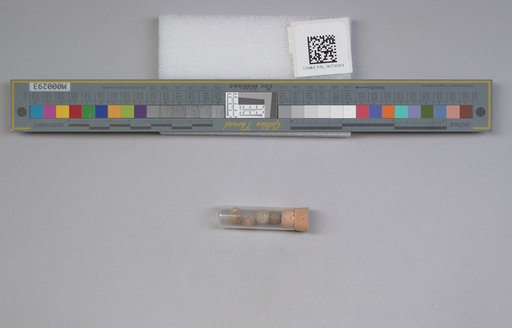 NSF ADBC EPICC TCN
