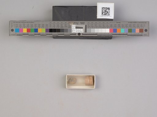 NSF ADBC EPICC TCN