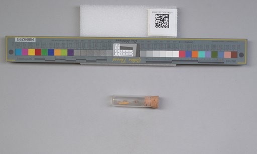 NSF ADBC EPICC TCN