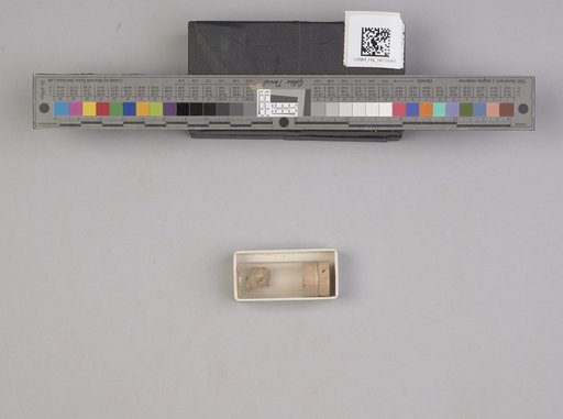 NSF ADBC EPICC TCN