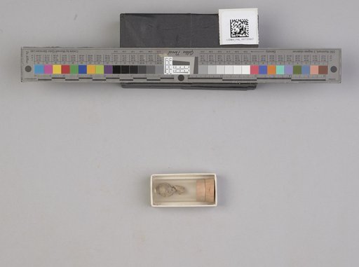 NSF ADBC EPICC TCN