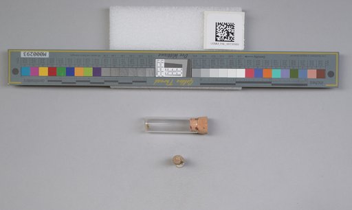 NSF ADBC EPICC TCN