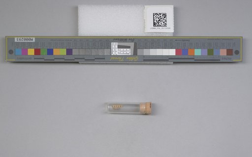 NSF ADBC EPICC TCN