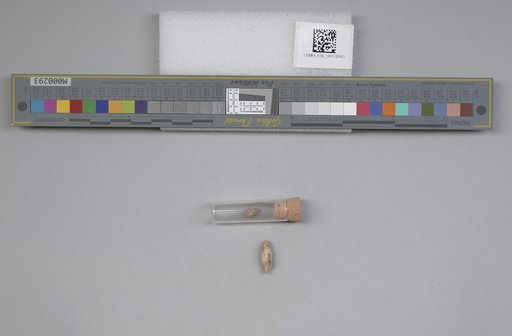 NSF ADBC EPICC TCN