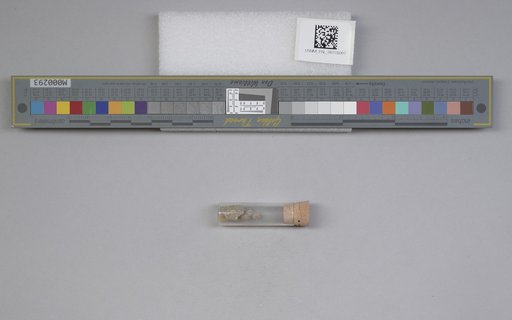 NSF ADBC EPICC TCN