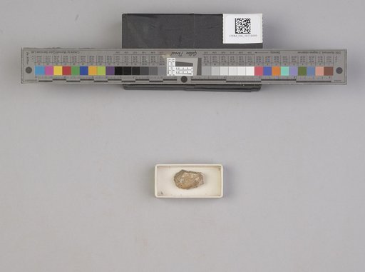 NSF ADBC EPICC TCN
