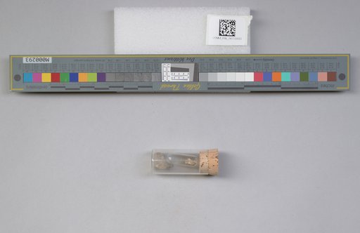NSF ADBC EPICC TCN