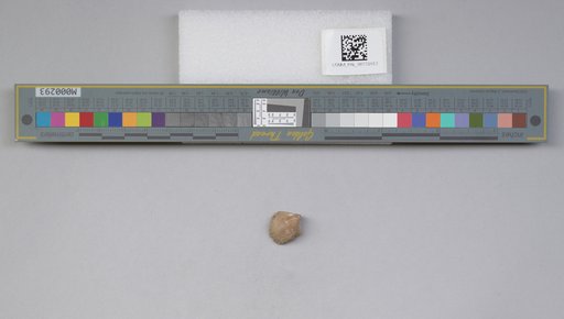 NSF ADBC EPICC TCN