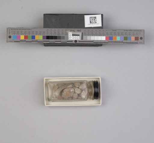 NSF ADBC EPICC TCN