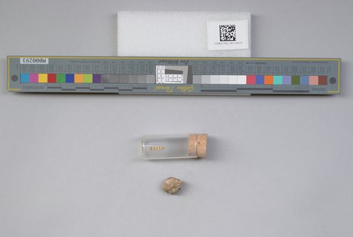 NSF ADBC EPICC TCN