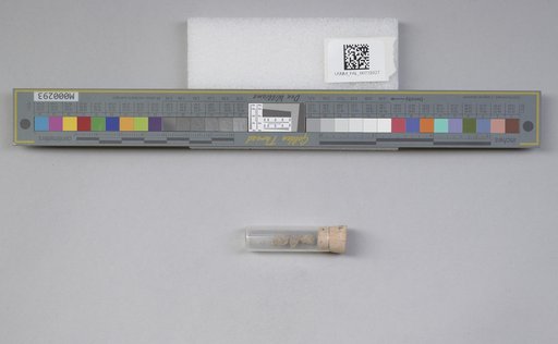 NSF ADBC EPICC TCN