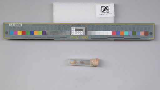 NSF ADBC EPICC TCN