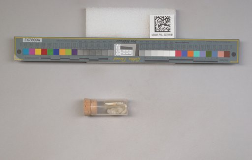 NSF ADBC EPICC TCN