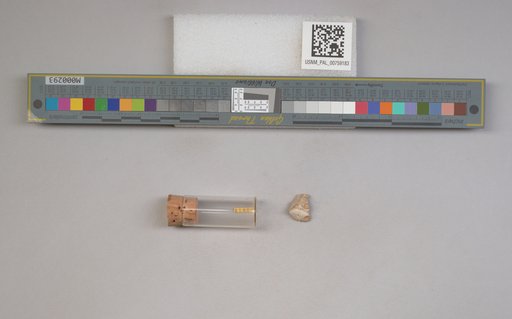 NSF ADBC EPICC TCN