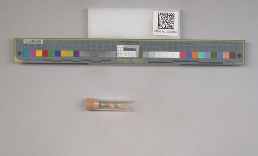 NSF ADBC EPICC TCN