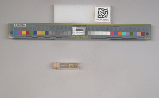 NSF ADBC EPICC TCN