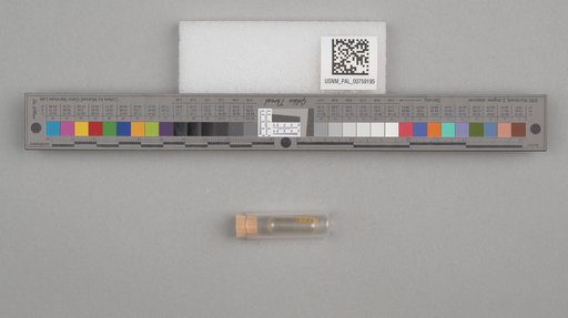 NSF ADBC EPICC TCN