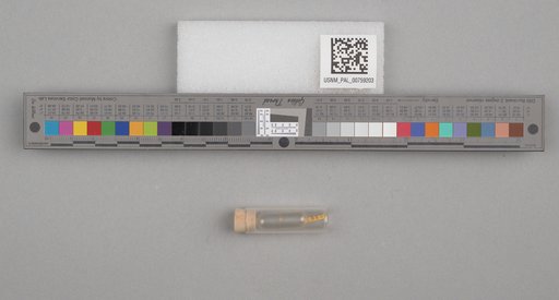NSF ADBC EPICC TCN