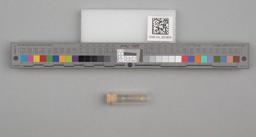NSF ADBC EPICC TCN