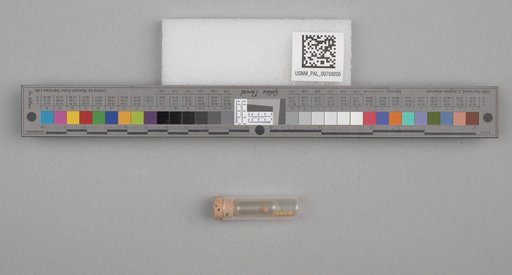 NSF ADBC EPICC TCN