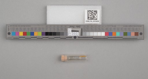 NSF ADBC EPICC TCN