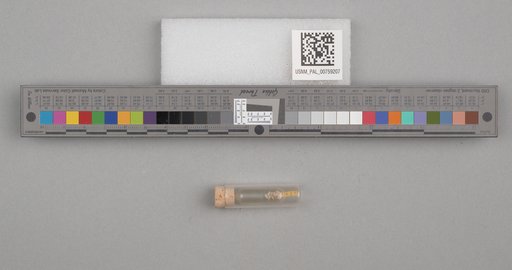 NSF ADBC EPICC TCN