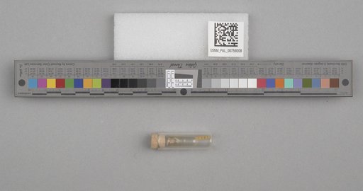 NSF ADBC EPICC TCN