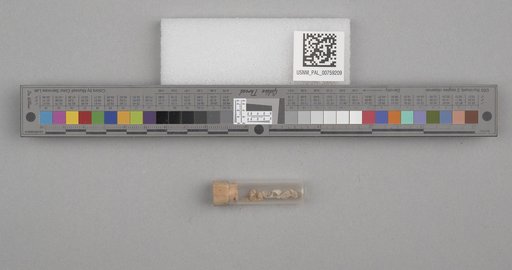 NSF ADBC EPICC TCN