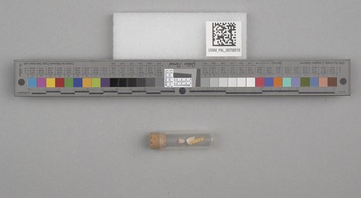 NSF ADBC EPICC TCN