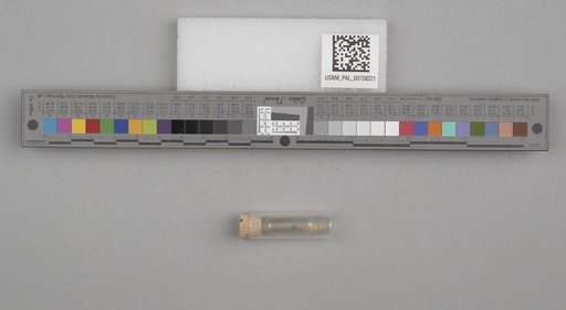 NSF ADBC EPICC TCN