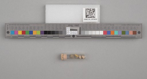 NSF ADBC EPICC TCN