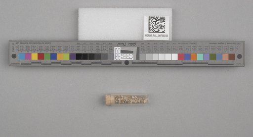 NSF ADBC EPICC TCN