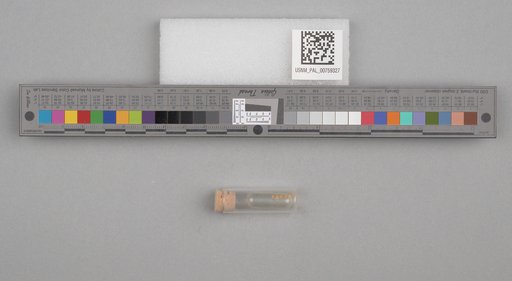 NSF ADBC EPICC TCN