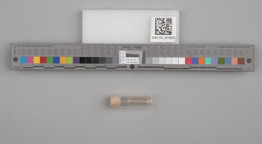 NSF ADBC EPICC TCN