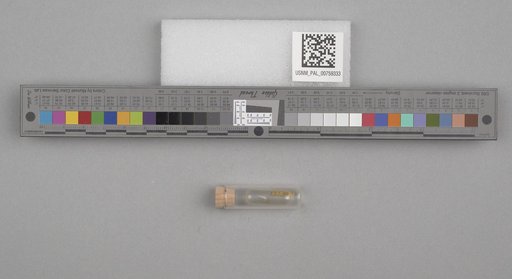 NSF ADBC EPICC TCN