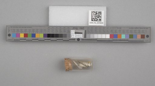 NSF ADBC EPICC TCN