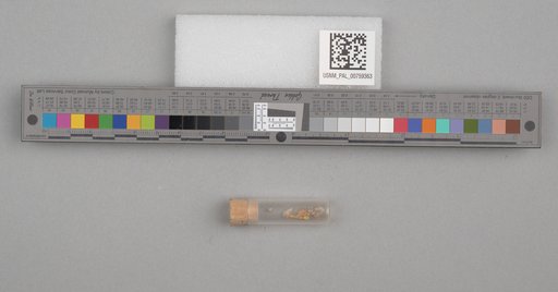 NSF ADBC EPICC TCN