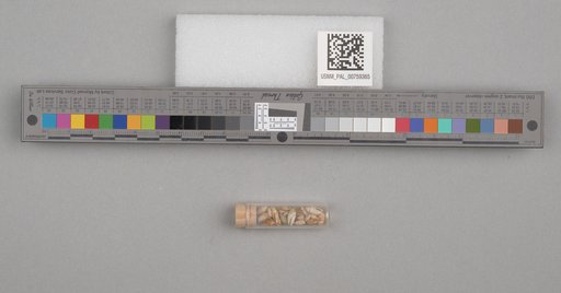 NSF ADBC EPICC TCN