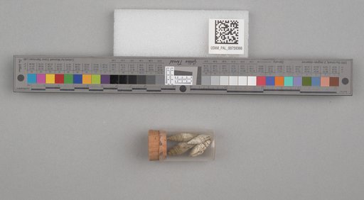 NSF ADBC EPICC TCN