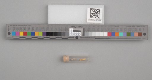 NSF ADBC EPICC TCN