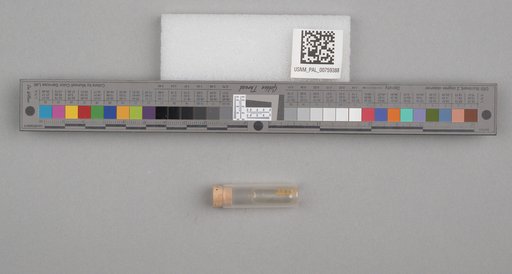 NSF ADBC EPICC TCN