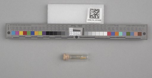 NSF ADBC EPICC TCN