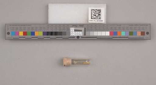 NSF ADBC EPICC TCN