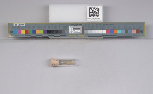NSF ADBC EPICC TCN
